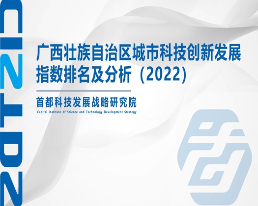 啊啊啊…高朝了【成果发布】广西壮族自治区城市科技创新发展指数排名及分析（2022）